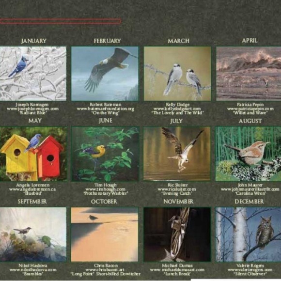 CALENDAR 2024 ART OF NATURE: Pelee Island Observatory Art Of Birds. - Picture 6 of 16